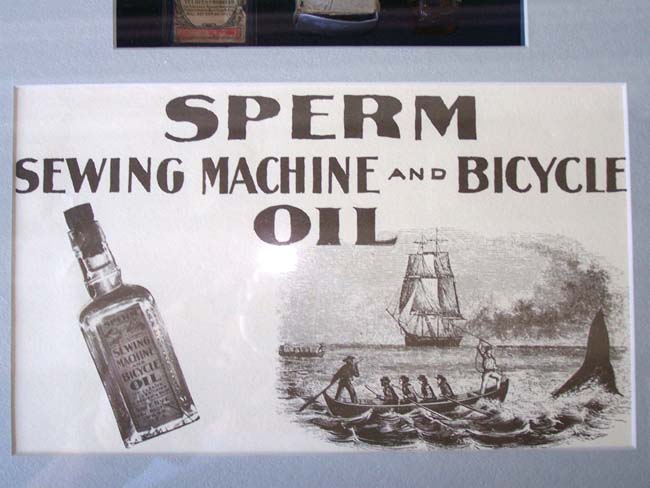An interesting framed grouping of 19th century Whaling related items — image 5